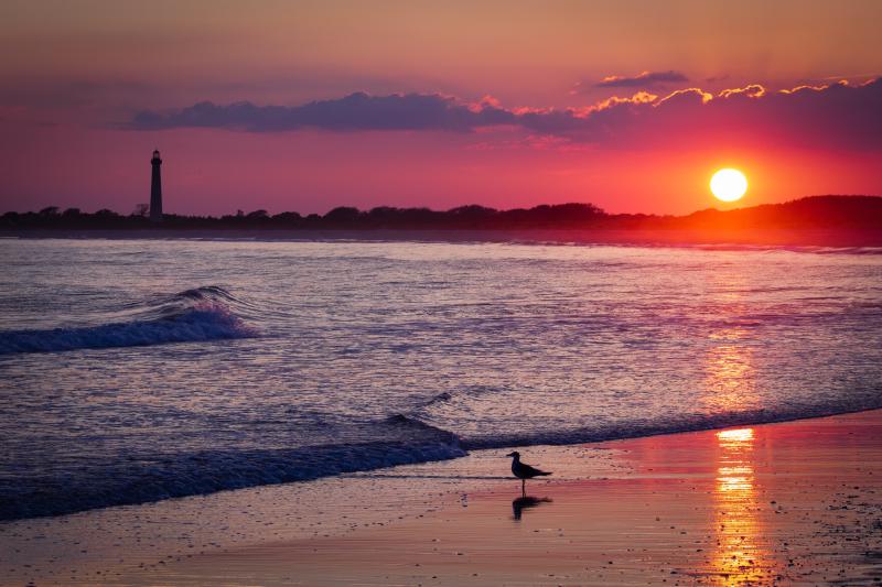 Featured image of post Unusual and Romantic Locations for Saint Valentine's Day on the East Coast